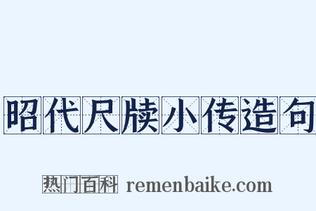 昭代尺牍小传造句是什么意思的图片